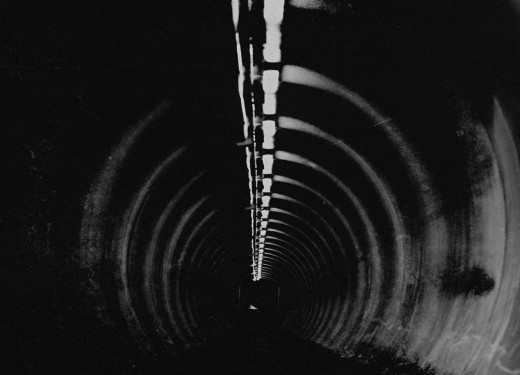 The Bug &amp; Dis Fig &ndash; In Blue